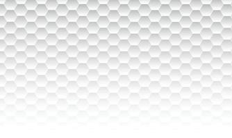 Abstract simple white hexagon background. vector