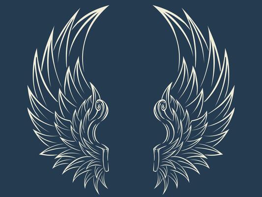 Wings vector design