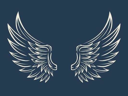 Wings vector design