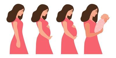 las principales etapas del embarazo. mujer embarazada y bebé recién nacido. embarazo hermoso cuerpo de mujer aislado sobre fondo blanco. calendario de embarazo. ilustración vectorial plana. vector
