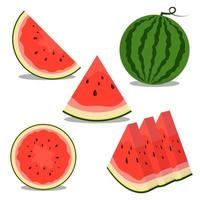 watermelon fruit vector illustration. good for food and drink, restaurant or summer design. flat color style