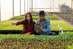 Two people in greenhouse photo