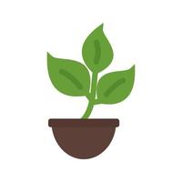 planta plana icono multicolor vector