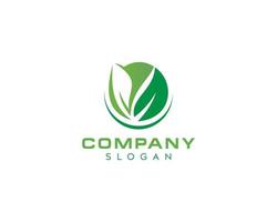 Natural leaf logo design-green leaf vector-Eco natural green color vector logo design