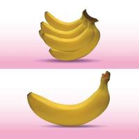 diseño de plátano realista en vector