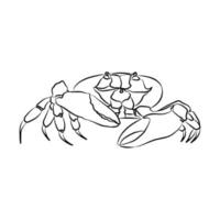 Beautiful crab line illustration, used for general use vector