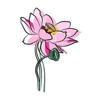ilustración de flores, loto hermoso, usado para uso general vector