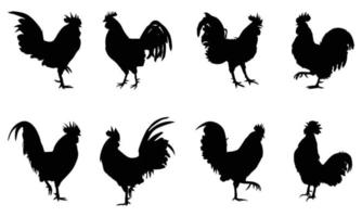 siluetas de pollo gallo. ilustración vectorial vector