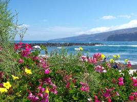 isla de tenerife en españa foto