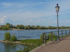 the city of Rees at the rhine river photo