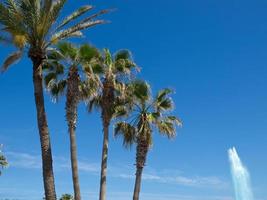 isla de tenerife en españa foto