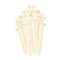 Vector stock illustration of natural raw white mushrooms Enoki with hats on legs. For cooking tempura, chikuwa, tempura udon noodles. Asian cuisine, Korean Chinese Japanese  Golden needle mushroom.
