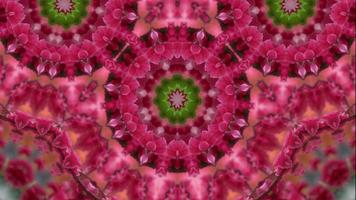 Red artificial flower kaleidoscopic view video