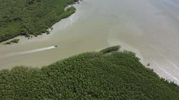 bateau de pêche se déplace vers la mer depuis la forêt de mangrove video