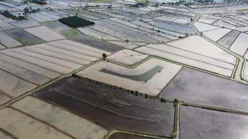 vue aérienne rizière pendant la saison de l'eau video