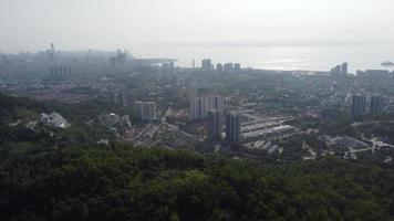 Luftbild grüner Wald in Richtung Stadt video