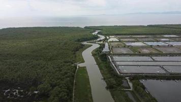 Fly over river separate shrimp farm video