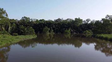 Move over river toward Nipah tree video