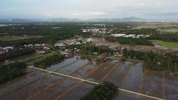 vista drone piantagione di males kampung video