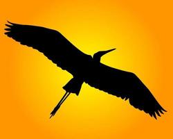 Black silhouette of a heron on an orange background vector