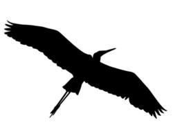 Black silhouette of a heron on a white background vector