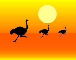 black silhouettes of running ostrich vector