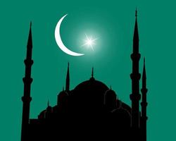 Mosque silhouette in Istanbul against a dark background with a half moon and a star in the sky vector