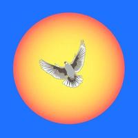 Pigeon against the sun and the dark blue sky vector