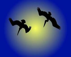 Two diving pelicans on a dark blue background vector