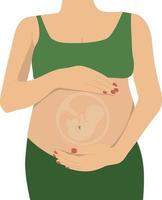 Pregnant woman with baby inside belly vector