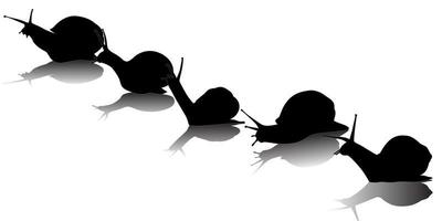 black silhouettes of the snail on a white background vector