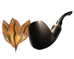pipe with tobacco leaves vector