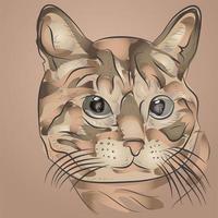 gato dibujo vectorial vector