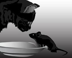 Cat and mouse in a plate against a dark background vector