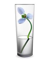 flor de campanilla blanca en un vaso sobre un fondo blanco vector