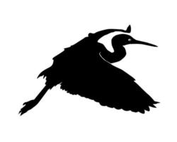 Black silhouette of a heron on a white background vector