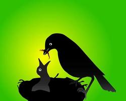 Bird feeding a baby bird nesting on a green and yellow background vector