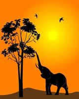 Black silhouette of an elephant on an orange background vector