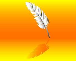 Feather against a orange background vector