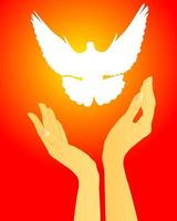 hands releasing a white dove on a red background