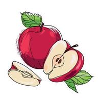 Ilustración de vector de dibujo de color de fruta de manzana roja. una manzana entera y media, dibujada a mano, aislada en un fondo blanco.