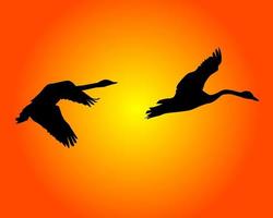 Silhouettes of two flying swans vector