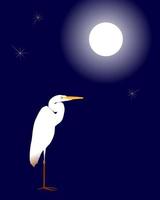White heron against a dark background the moon and stars vector
