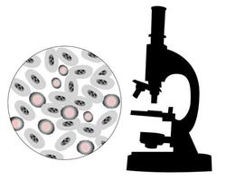 Silhouette of a microscope with the image of bacteria vector