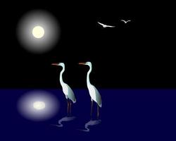 dos garzas blancas contra el cielo lunar nocturno vector