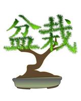 Japanese bonsai tree in the form of hieroglyphs on a white background