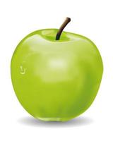 manzana verde sobre un fondo blanco vector