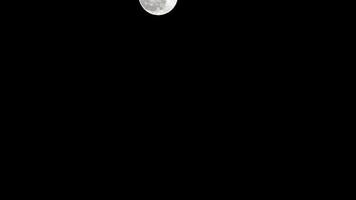 timelapse da lua, aumento da lua cheia de lapso de tempo de ações no céu escuro da natureza, noite. lapso de tempo do disco da lua cheia com luz da lua no céu escuro à noite. imagens de vídeo gratuitas de alta qualidade ou timelapse video