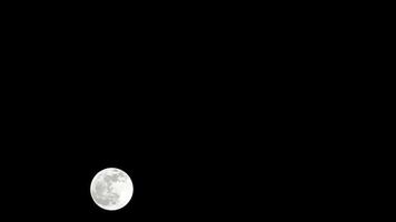 timelapse de la lune, stock time lapse pleine lune se lève dans le ciel sombre de la nature, la nuit. laps de temps de disque de pleine lune avec la lune s'allume dans le ciel noir de nuit. séquences vidéo gratuites de haute qualité ou timelapse video