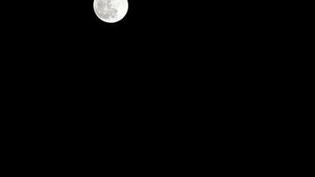 timelapse di luna, lasso di tempo stock luna piena sorge nel cielo di natura oscura, notte. lasso di tempo del disco di luna piena con la luna che si illumina nel cielo nero scuro di notte. riprese video o timelapse gratuiti di alta qualità